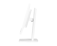 IIYAMA ProLite XUB2497HSN-W2 - 1284777 - zdjęcie 5
